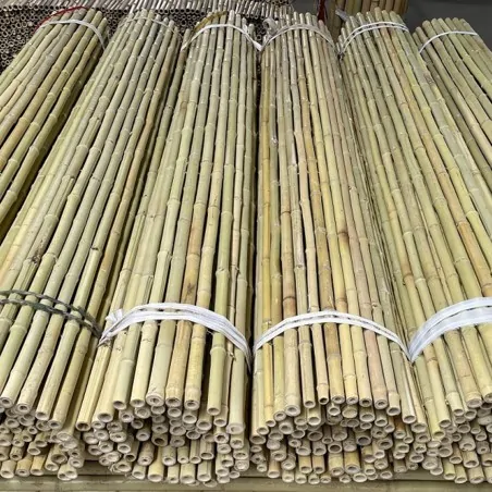 Bamboo Cane Roll Fence Ø20–25mm - 250 x 250cm