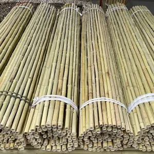 Bamboo Cane Roll Fence Ø20–25mm - 250 x 250cm