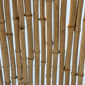 Bamboo Cane Roll Fence Ø20–25mm - 150 x 250cm