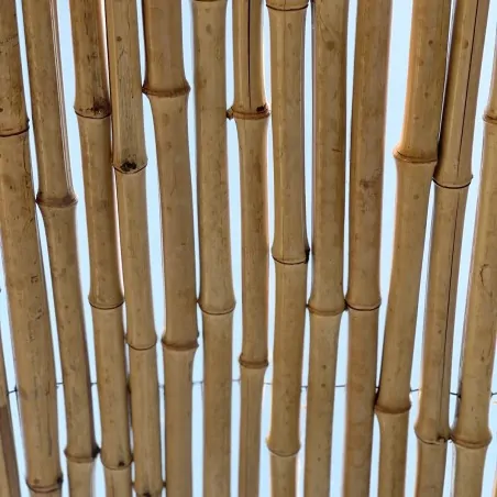Bamboo Cane Roll Fence Ø20–25mm - 200 x 250cm