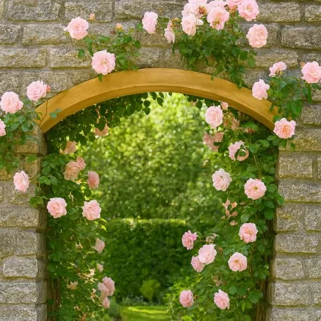 Wooden Arch 4.5x7x187 cm