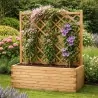 Wooden planter trellis 120(h) x 110cm