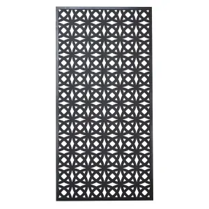 Screen Orbit with frame 180 x 90 cm | charcoal