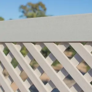 LOP® Synthetic Trellis 82 x 122cm - Ivory with Frame