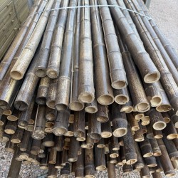 Natural Black Bamboo Pole Ø5-6 x 300cm | SPECIAL OFFER