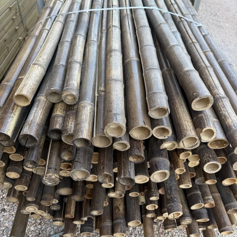 Natural Black Bamboo Pole Ø5-6 x 300cm | SPECIAL OFFER