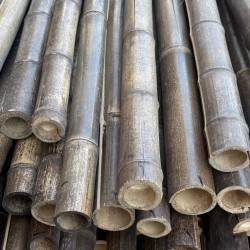 Natural Black Bamboo Pole Ø5-6 x 300cm | SPECIAL OFFER
