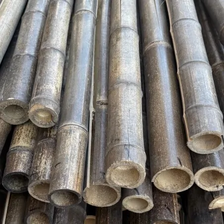 Natural Black Bamboo Pole Ø5-6 x 300cm | SPECIAL OFFER