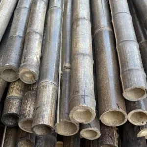 Natural Black Bamboo Pole Ø5-6 x 300cm | SPECIAL OFFER