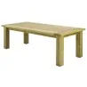 Wooden Garden Table Daphne100 x 230 cm