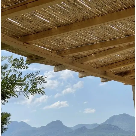 Καλαμωτή από Διετές Καλάμι Ø20-25mm 100 x 300εκ.