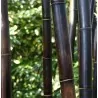 Black Bamboo Screening Ø25-30mm - 150 x 250cm