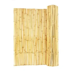 Καλαμωτή Κίτρινο Bamboo Ø25-30mm με Inox Σύρμα 200 x 250εκ.