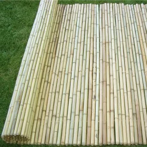 Yellow Bamboo Screening Ø25-30mm with Stainless Steel Wire 250 x 250cm