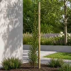 Wooden Post Ø6 x 300cm with Pointed End