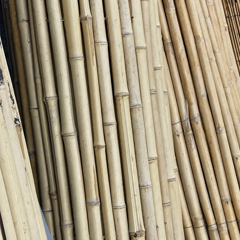 Bamboo Cane Roll Fence Ø20–25mm - 200 x 250cm