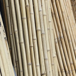 Bamboo Cane Roll Fence Ø20–25mm - 150 x 250cm