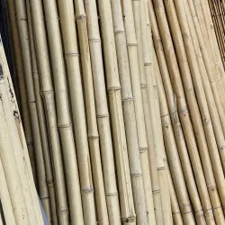 Bamboo Cane Roll Fence Ø20–25mm - 100 x 250cm