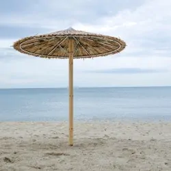Beach umbrella by Reed cane Ø220cm