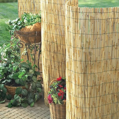 Peeled reed natural fencing