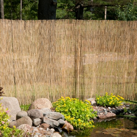 Peeled reed natural fencing