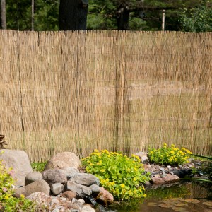 Reed fence