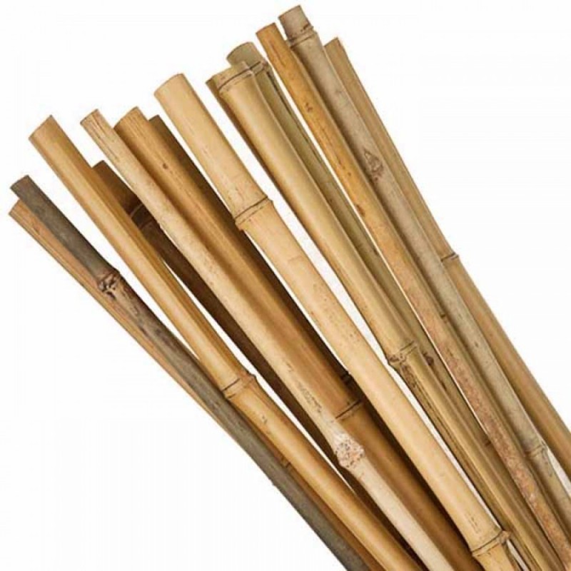 bamboo poles