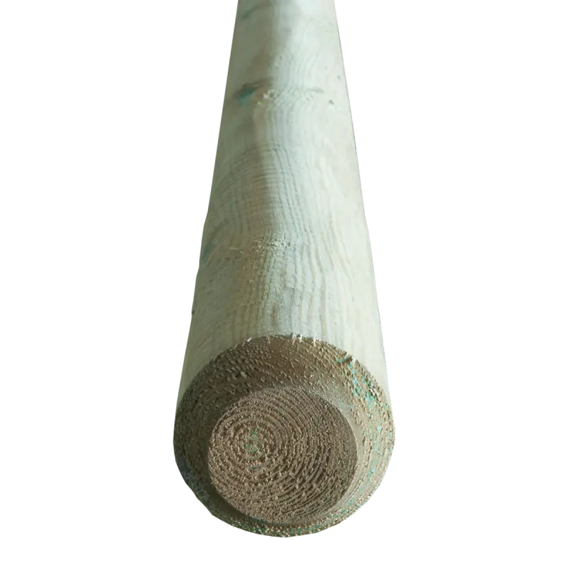 Pressure treated pole Ø10cm