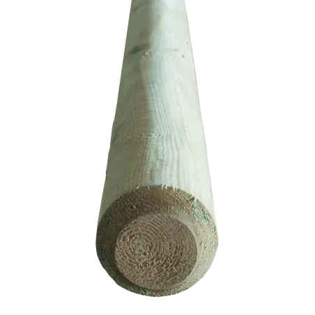 Pressure treated pole Ø10cm Ø10 x 300cm
