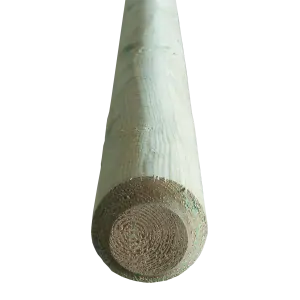 Pressure treated pole Ø10cm