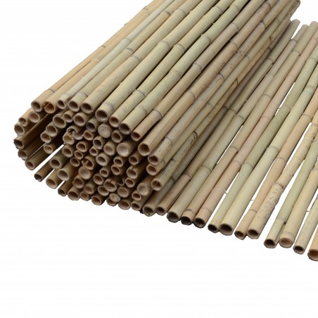 Καλαμωτή bamboo Tonkin με περαστό σύρμα 14-20mm