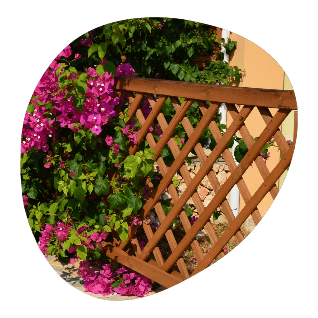 καφασωτά SHOWOOD