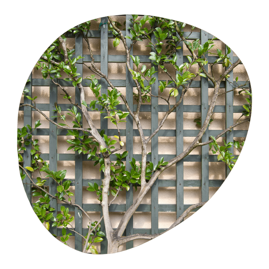 περίφραξη SHOWOOD