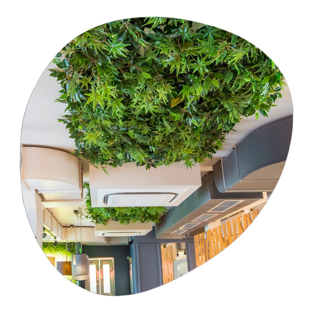 Φυλλωσιά SHOWOOD