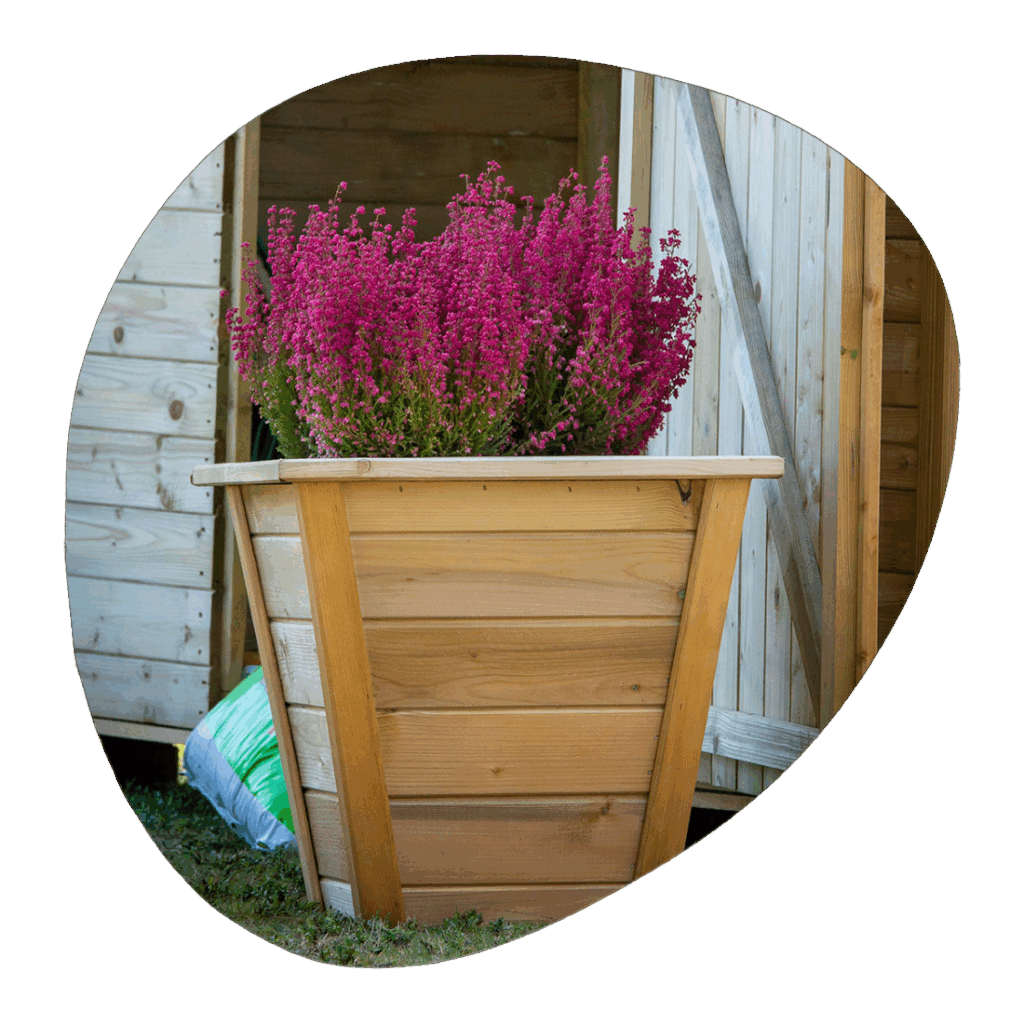 γλάστρες SHOWOOD