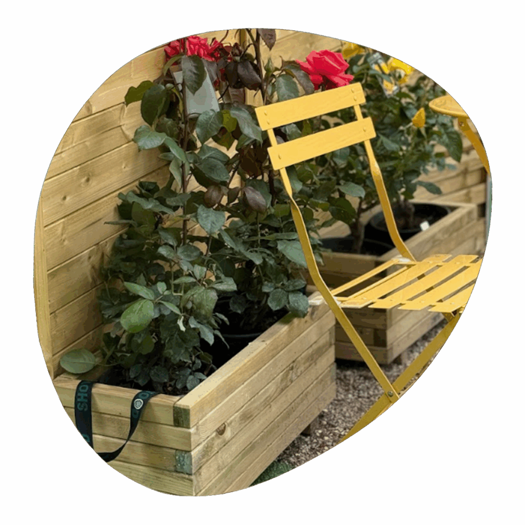 γλάστρες SHOWOOD