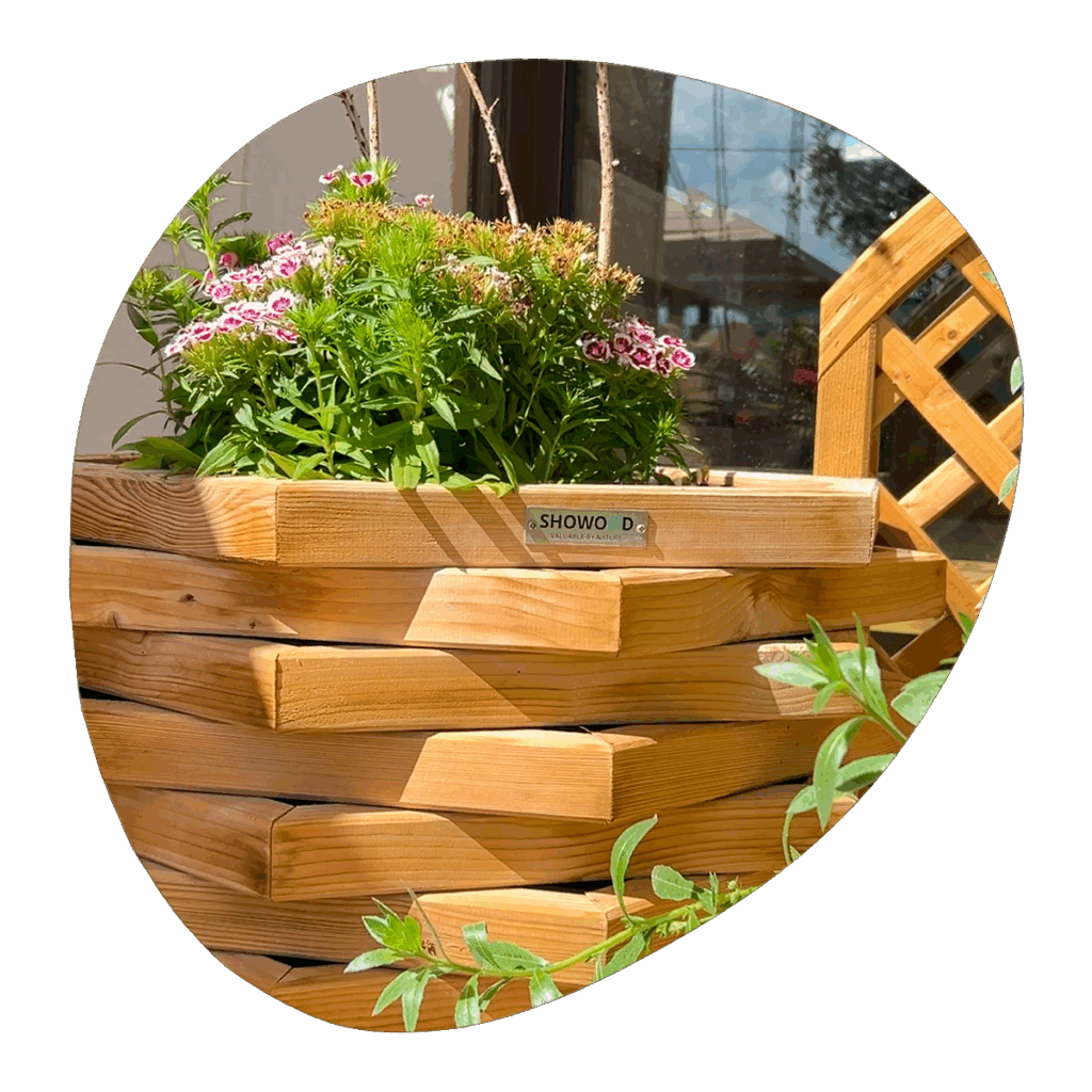 γλάστρες SHOWOOD