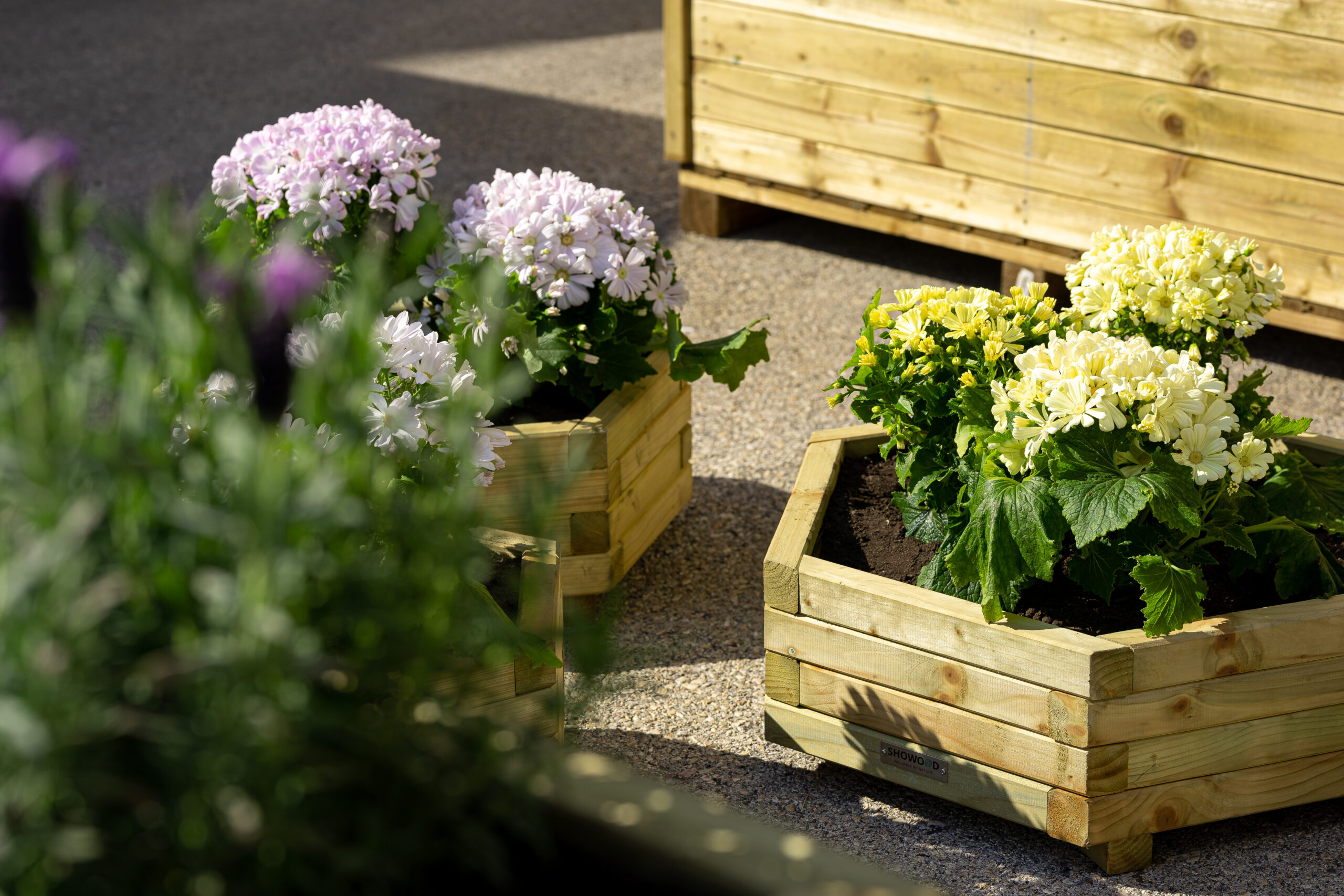 Φθινόπωρο, η εποχή που φυτεύουμε σωστά