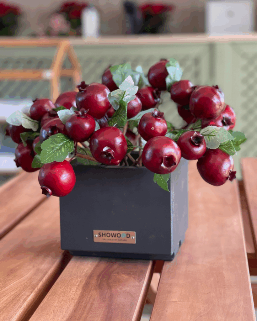 SHOWOOD ΧΡΙΣΤΟΥΓΕΝΝΑ