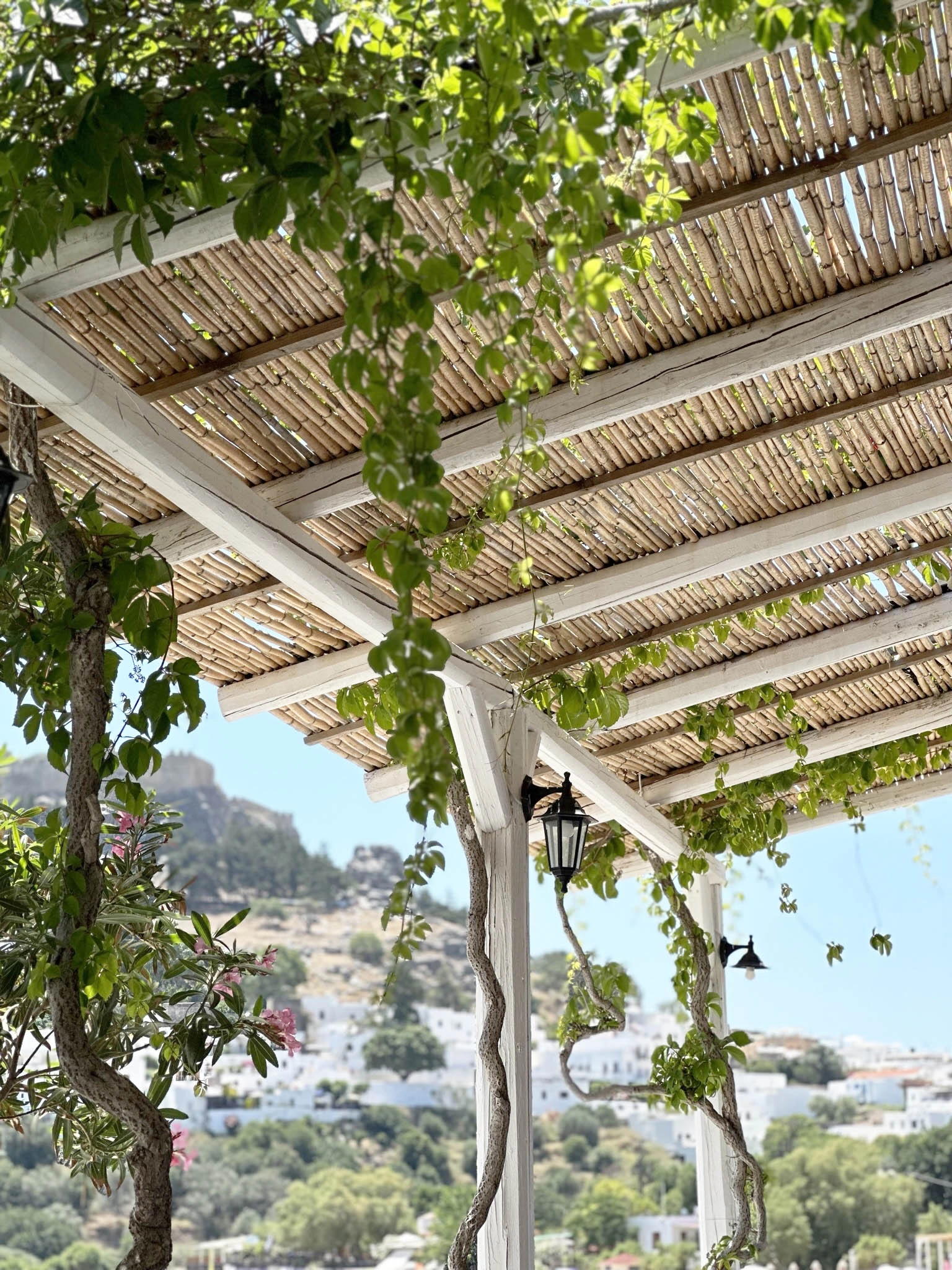 Φυσικές Καλαμωτές