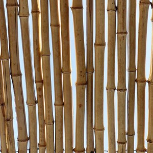 Bamboo roll